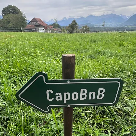 Апартаменты Capobnb Bergsicht, Nh Interlaken Whirlpoolbaden Reutigen