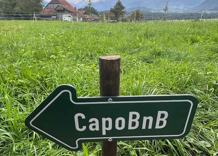 Apartment Capobnb Bergpanorama, Nahe Interlaken & Thuner Reutigen